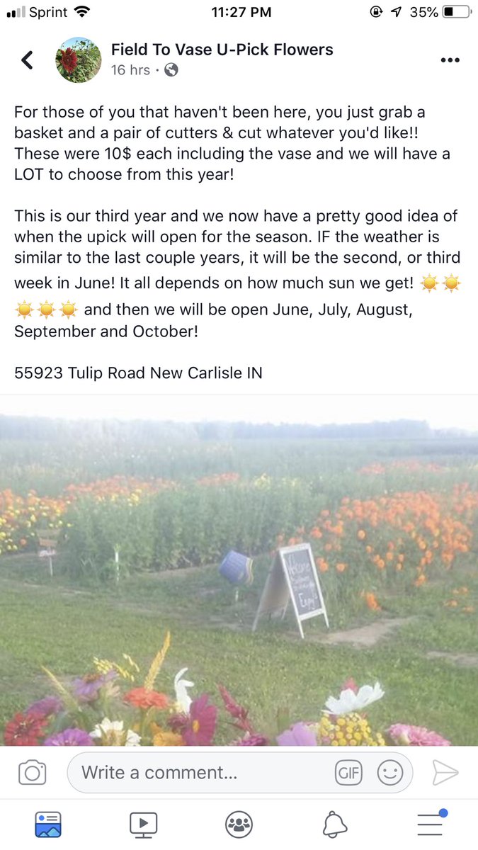 lilly_hullum's tweet photo. definitely a must this summer😍😍 https://t.co/XBx5YMrphx