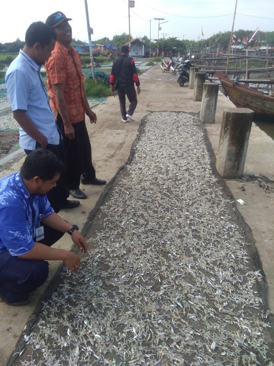 indrawan_ady's tweet photo. PPB_Jateng, pembinaan dan monev alat tangkap serta hasil tangkapan nelayan di TPI Asemdoyong, Taman-Pemalang. Jateng @puslatluhkp @BRSDM_bp3tegal @djpt_kkp @disperik_pml https://t.co/1hYKXL1hOQ