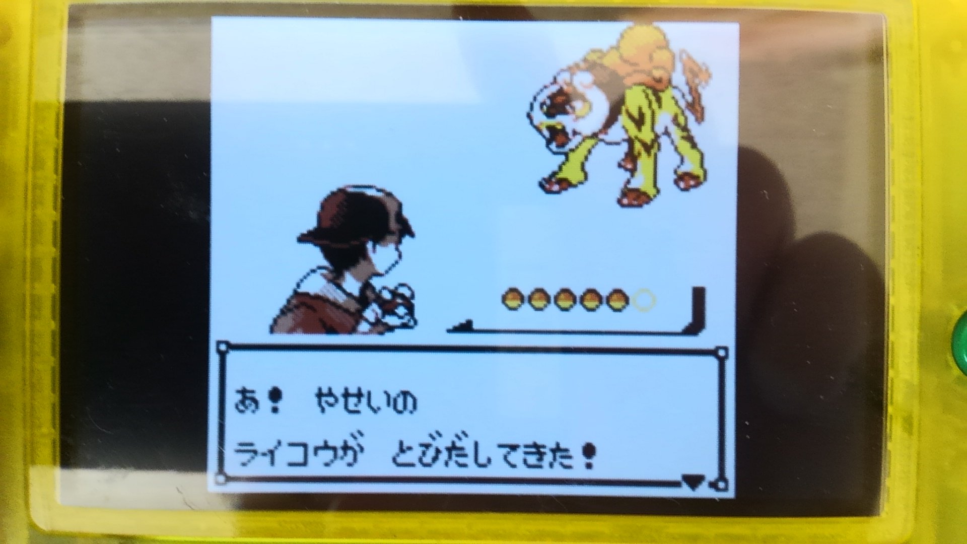 雷雲斎 イメル エクレア ポケモン ポケモン金銀クリスタル Vcで色違いのライコウに挑戦中 ライコウを追って三千里 長いと半年近くかかるかもしれません T Co 4jqjwelni4 Twitter