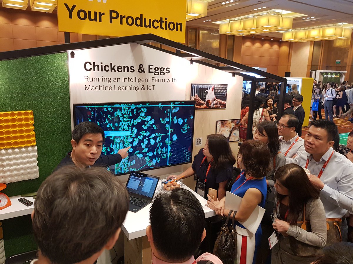 vMeyenburg's tweet photo. Chickens & Eggs -> SAP machine learning helps running an intelligent farm #OurGrowthStory #SEAAIS @SAP_APJ https://t.co/XKHEbyXxe6