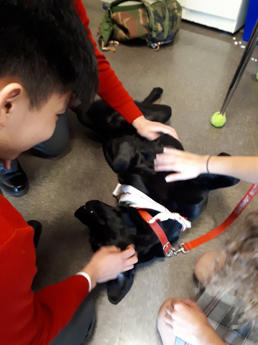 vandoza's tweet photo. Thank you to/ Merci beaucoup à @SJA_Canada for their therapy dog program here in the BC North Shore/Sea to Sky division. We appreciated their visit by volunteers and their dogs to @CISVA2 Aquinas in @CityOfNorthVan to help students and staff. (Photos by T. Macek) #stanvlearns https://t.co/4cc4heyF7M