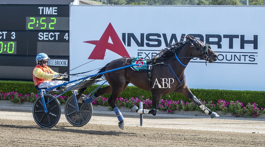 ashbrennanphoto's tweet photo. Race 3 @TPMenangle - ENJOY AN ALE / Petia-Kelli Horton-Whybrow &amp; Jimmy Douglass #TheTrots https://t.co/4jaXqUzA72