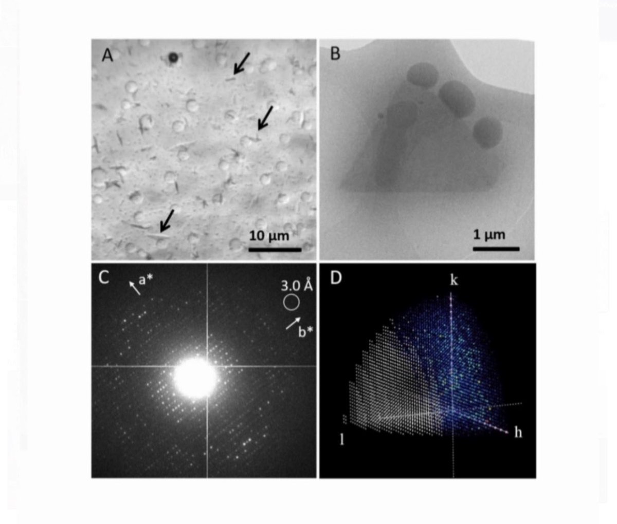druselabs1's tweet photo. https://t.co/nAqpgkG23D 💎 🔬Solving the first novel protein structure by 3D micro-crystal electron diffraction
by
H. Xu
H. Lebrette
M.T.B. Clabbers
J. Zhao
J.J. Griese
X. Zou
M. Högbom
#microcrystal #electrondiffraction #MicroED #micronsized #3Dcrystals https://t.co/AsagD4xdD7