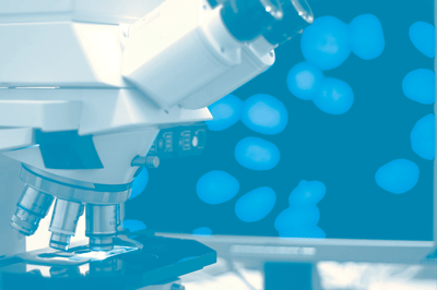 SATT Sud-Est (@sattse_) on Twitter photo 🥁 <a href="/SATTse_/">SATT Sud-Est</a> @IDFInnov <a href="/photonlines/">Photon Lines</a> s'unissent pour réinventer le marché de la #microscopie super-résolution #nanoscopie 🔬
👨🔬 👩🔬 <a href="/InstitutFresnel/">Institut Fresnel</a> @univamu <a href="/CNRS/">CNRS 🌍</a> <a href="/CentraleMars/">Centrale Marseille</a> #LaboratoireDeNeurophotonique @UParisDescartes | <a href="/ReseauSATT/">Réseau SATT</a>
ow.ly/Zf5F50pDdwX 🥁 <a href="/SATTse_/">SATT Sud-Est</a> @IDFInnov <a href="/photonlines/">Photon Lines</a> s'unissent pour réinventer le marché de la #microscopie super-résolution #nanoscopie 🔬
👨🔬 👩🔬 <a href="/InstitutFresnel/">Institut Fresnel</a> @univamu <a href="/CNRS/">CNRS 🌍</a> <a href="/CentraleMars/">Centrale Marseille</a> #LaboratoireDeNeurophotonique @UParisDescartes | <a href="/ReseauSATT/">Réseau SATT</a>
ow.ly/Zf5F50pDdwX