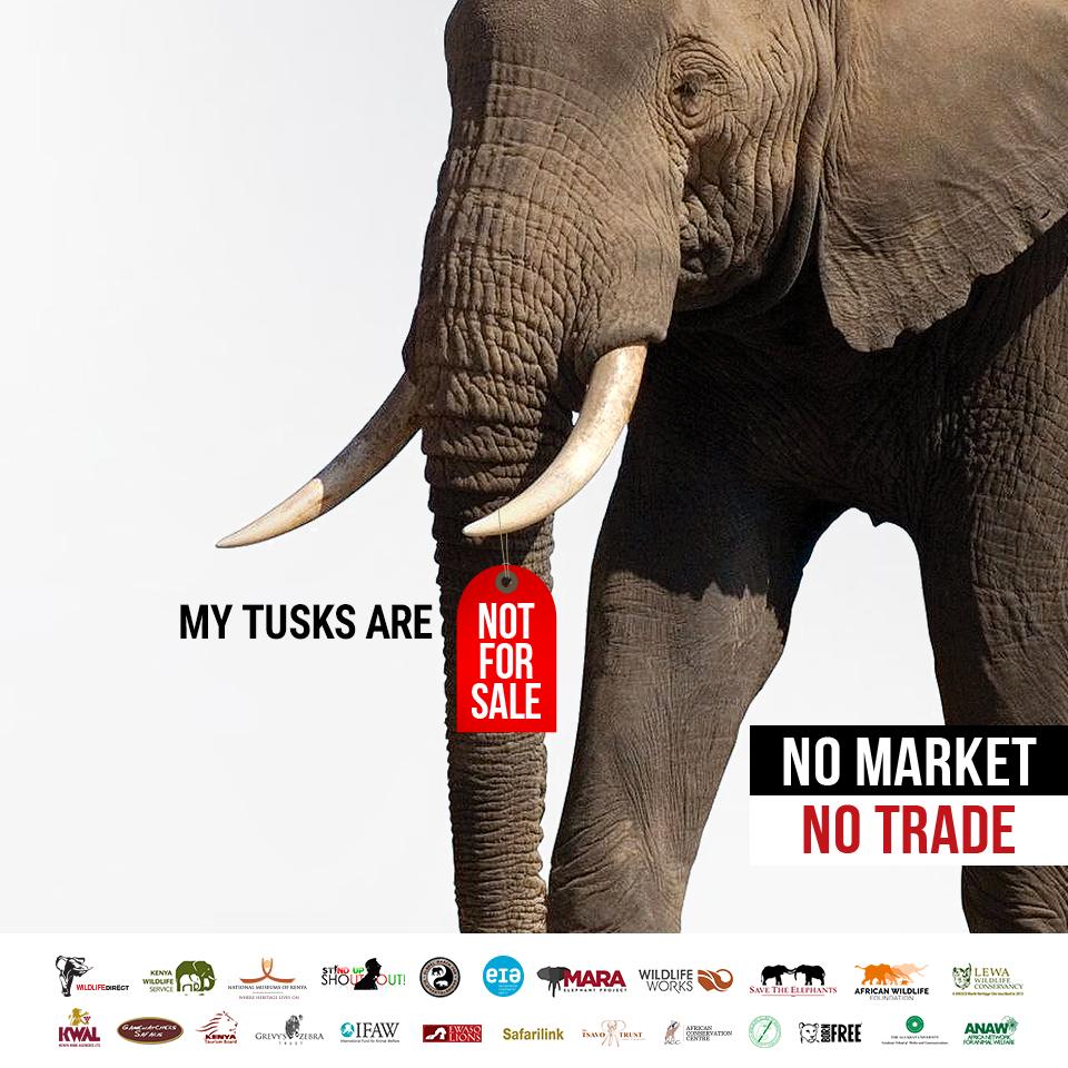 KWSKenya's tweet image. ALL domestic #ivory and #rhino horn markets contribute to #poaching and illegal trade. March with us in #Nairobi on April 13th to demand the end of all trade in ivory and rhino horn! #MarchForWildlife #CITESCoP18  #NoMarketNoTrade