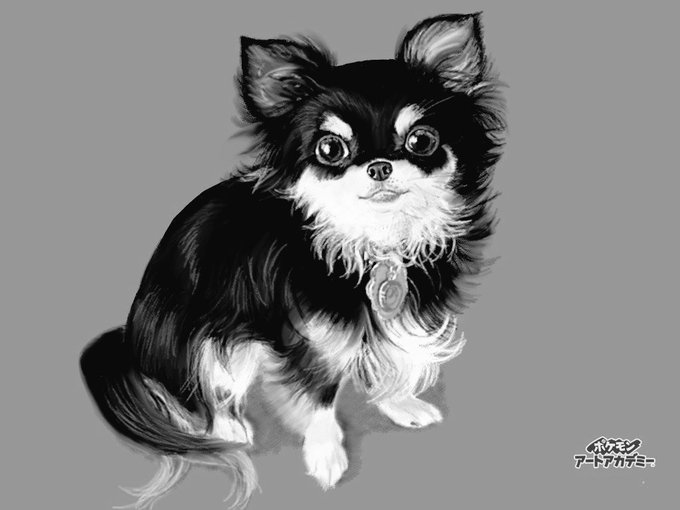 チワワちゃんのtwitterイラスト検索結果 古い順 チワワちゃんのtwitterイラスト検索結果 古い順