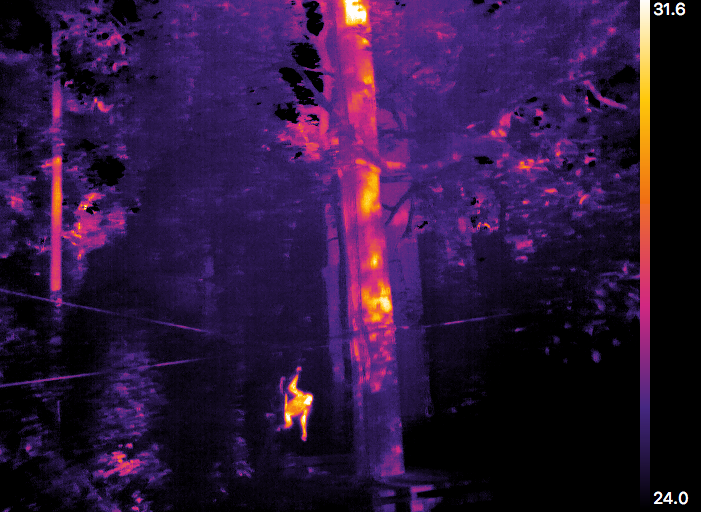 Astrophysicists, conservationists and ecologists have fitted #drones with #thermalcameras 📷to count endangered #orangutans in Borneo 🌴. Hear more from <a href="/CBurkeSci/">Dr Claire Burke</a> at #UTE2019 today. <a href="/LJMU/">Liverpool John Moores University</a> <a href="/wwf_uk/">WWF UK</a> @ngo_hutan britishecologicalsociety.org/astro-ecology-…