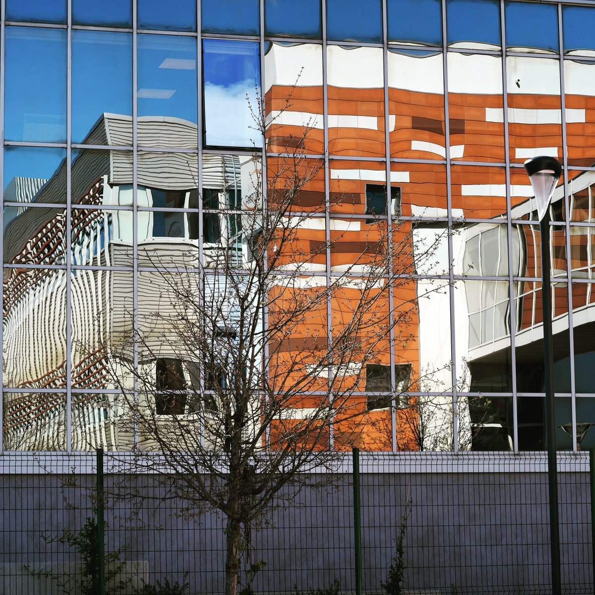 hotelent's tweet photo. 💡 #GrasseBIOTECH est une mosaïque composée d’entreprises, à ceci prés qu’elles ont toutes en communs la #créativité et l’#innovation qui les constituent. 
@Phenocell @LifeScientis #agrodiagnostic #pkderm @OfficineaFR #biopreserv #genochem @uca_research https://t.co/tepRnopHTB