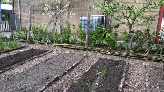 Onlangs hebben we tijdens een 'Snipperdag' ecologische buurtmoestuin 'We Lusse ze Gruun' voorzien van een lading nieuwe houtsnippers voor op de paden én nieuwe compost. Leuk om aan dit mooie initiatief bij te kunnen dragen! wlzg.nl/snipperdag/