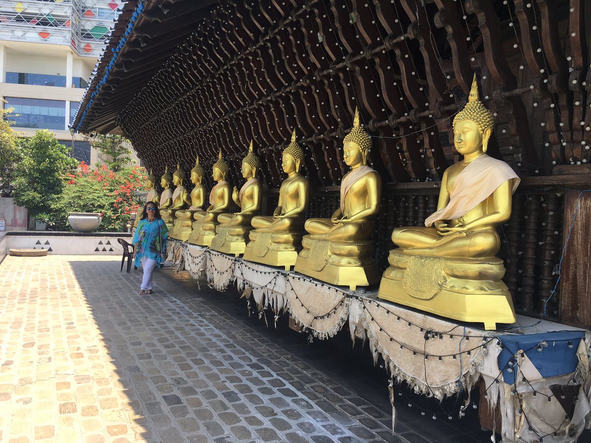 neeta_com's tweet photo. Immersive travel like no other! Exploring ancient temples , trying authentic cuisine, tea tastings and more! In love 😍 with #srilanka and its warm welcoming people ! #traveldiaries #colombochronicles #LuxuryTravel #TuesdayMotivation #beautifuldestinations #explore #Experiences https://t.co/DonQddwVcX