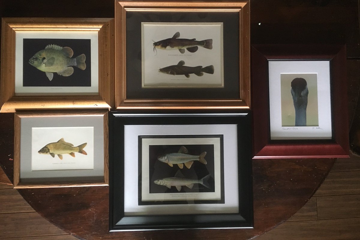 FMCS_Mollusk's tweet photo. We are <1 wk away from #FMCS2019. Don't forget about auction. We have started to receive a lot of great prizes to help raise money for student travel assistance. You can help cause too by bringing items like artwork, local flare (food/drink), books , etc to be raffled/auctioned. https://t.co/3b7YukeI99