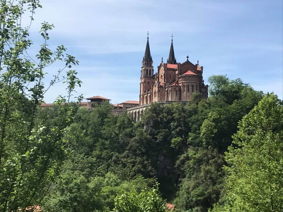 antonyblake9's tweet photo. Covadonga. I say no more. You know where it is. The story is in the book.
#cyclingshots #cycleporn #bikeporn #carbonfiber #roadcycling #reillycycleworks #cyclinglife #cyclist #roadbike #cycling #reillycycleworks #stubbleandsteel #spain
#rideyourbike #instacycling #cyclestyle https://t.co/5bx9BdToWr