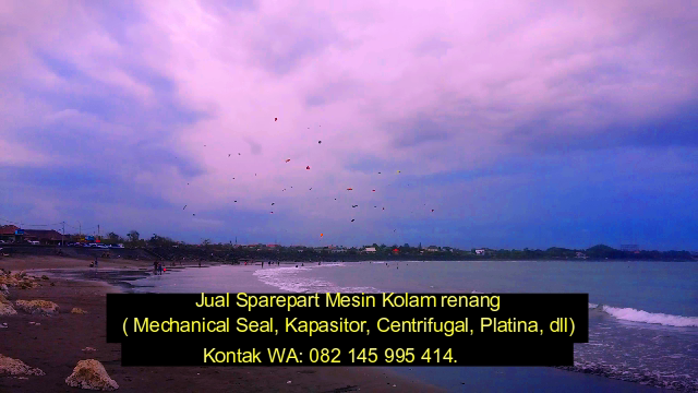 pusat_pompa's tweet photo. Festival Layang - layang di Pantai Sanur https://t.co/MtQyNCKlyQ