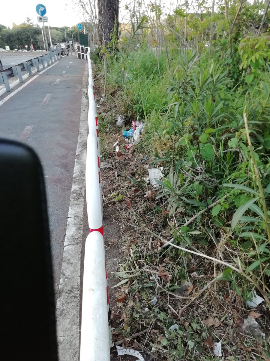 bikediablo's tweet photo. #ciclabilecolombo due modi di pulire orrendi. A #settechiese puliscono aiuole e sversano su ciclabile a #viapalos l'inverso. La morchia raccolta dalla pista spostata nel dirupo (@parcoappia). Tanto... .@ciclomobilisti @ilmessaggeroit @rep_roma @ilpost https://t.co/mzMpQGVCuo