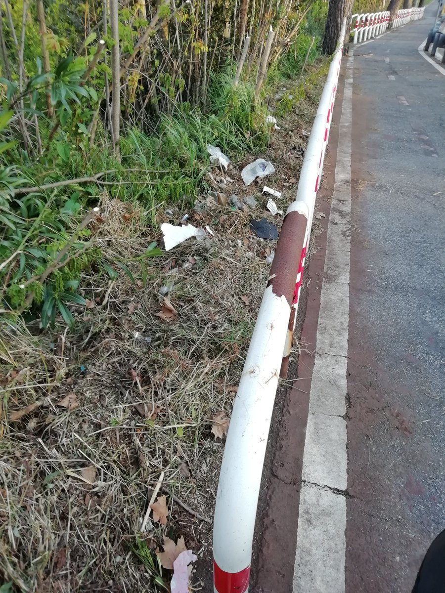 bikediablo's tweet photo. #ciclabilecolombo due modi di pulire orrendi. A #settechiese puliscono aiuole e sversano su ciclabile a #viapalos l'inverso. La morchia raccolta dalla pista spostata nel dirupo (@parcoappia). Tanto... .@ciclomobilisti @ilmessaggeroit @rep_roma @ilpost https://t.co/mzMpQGVCuo