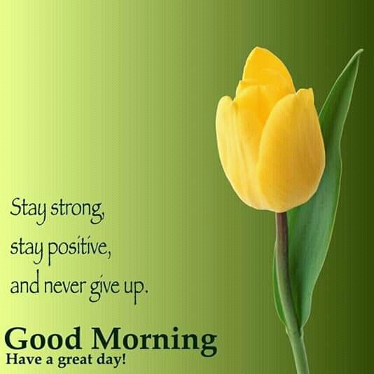 murthyraju4's tweet image. 