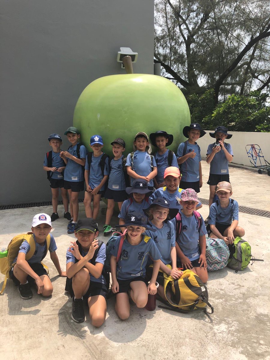 dbis_y4's tweet photo. Surviving in the wild! What would you need? #Year4Camp https://t.co/88DHGPIJsg
