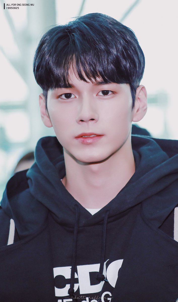 betteroffwu's tweet photo. 190405 ICN
May the odds be ever in your favor and may all your dreams come true . 💞💞💞
#옹성우 #ONGSEONGWU https://t.co/35J32XaTmP
