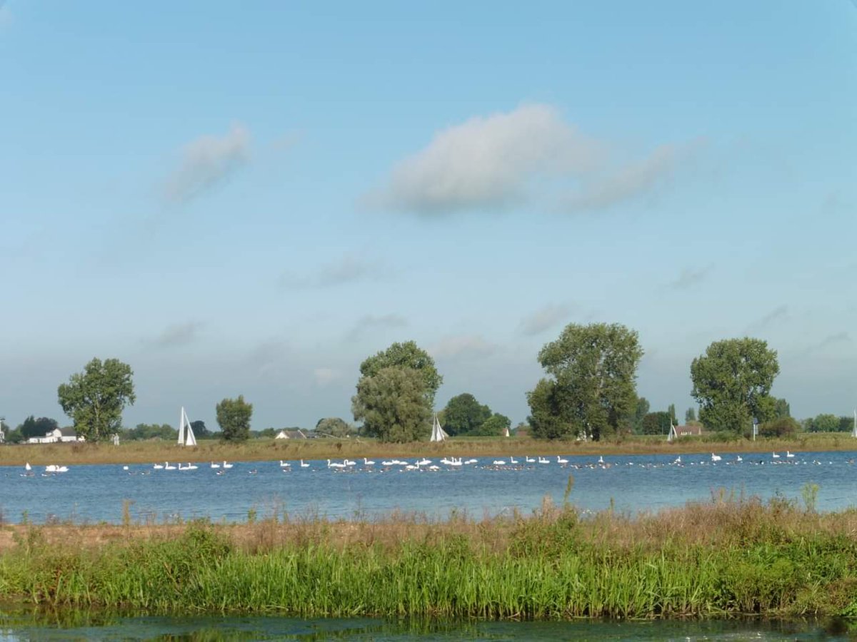 Woensdagavond 10 april - 20 uur
Lezing over Hemelrijkse Waard en vogels op De Maashorst.
in NME/Kinderboerderij De Elzenhoek.