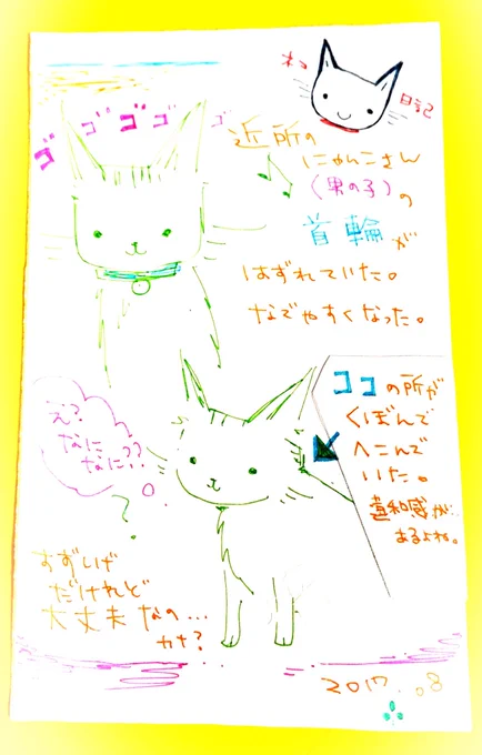 猫日記 #ねこ #猫あるある ?? #イラスト #アナログ絵 