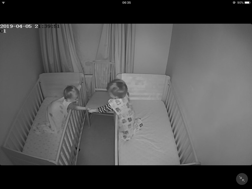 What a beautiful sight to wake up to! I hope they are always this close. X