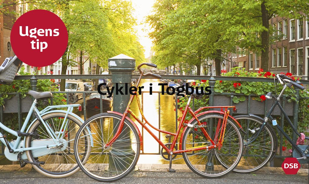 DSB on Twitter: "Din cykel skal blive derhjemme, hvis du, i forbindelse med et af sporarbejder, skal med Togbus. Det er nemlig ikke muligt at have cykel med i Togbussen. Du