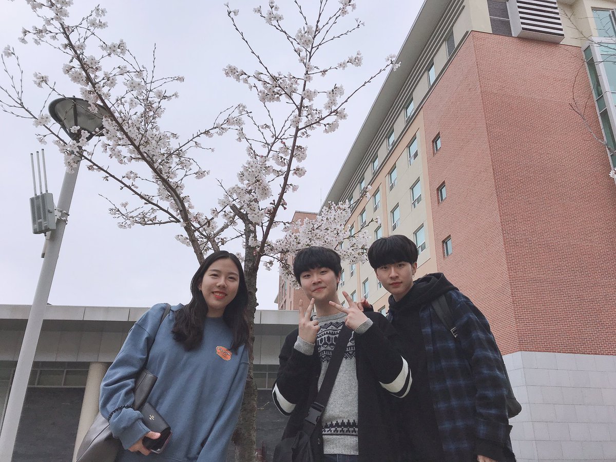 HyunbinKim7's tweet photo. #GBTWriting #Spring #hufs #Selfie 
#cherryblossom  
⭐️Cherry blossom season⭐️ https://t.co/ILThzj5iM8