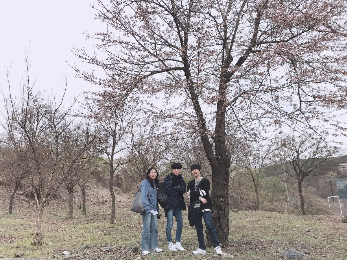 HyunbinKim7's tweet photo. #GBTWriting #Spring #hufs #Selfie 
#cherryblossom  
⭐️Cherry blossom season⭐️ https://t.co/ILThzj5iM8