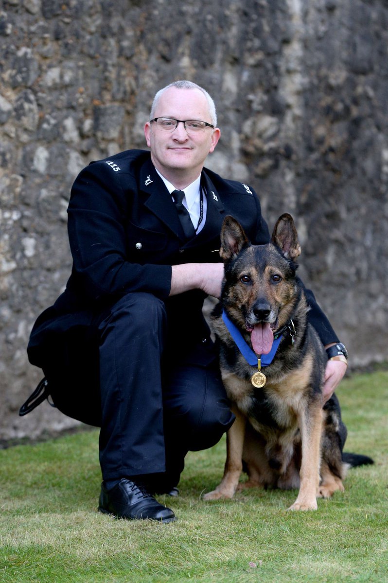 What absolutely amazing news to wake up to #Finnslaw has got Royal Assent 🐾😆😱
What an amazing legacy 🐾
I Want to thank @finnforchange and @OliverHealdUK 
And of course #FabulousFinn for his selfless actions that night!