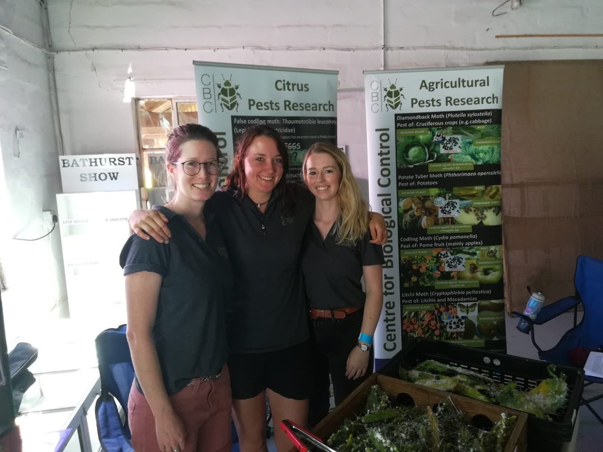 Spent Sunday afternoon talking about cactus biological control at Bathurst show with Meg Reid and Jen Upfold! Hopefully, more people now know about the alternative and effective ways to control these prickly pests🌵, as well as other invasive weeds and agricultural insect pests!