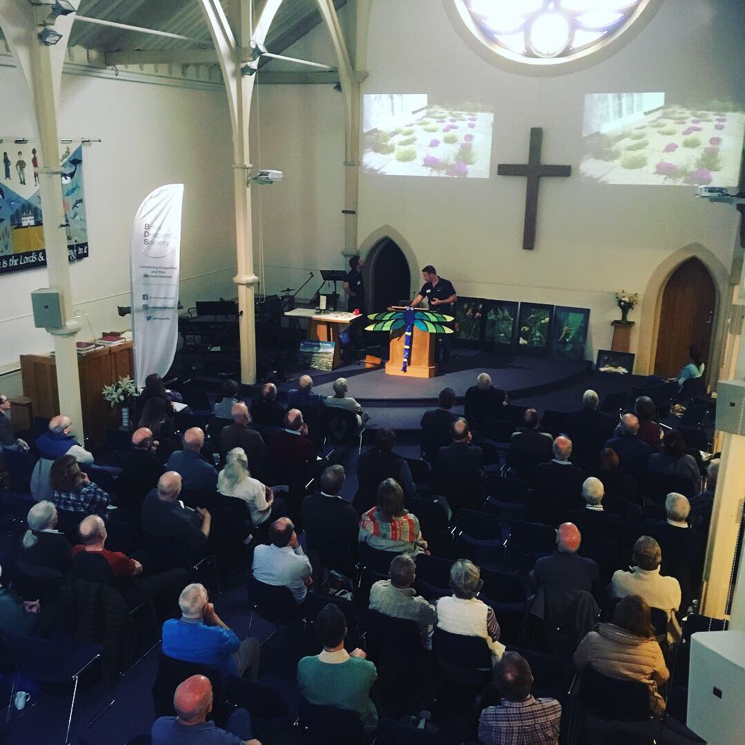 BDSdragonflies's tweet image. For anyone who couldn’t make it to our spring meeting in #Knutsford this year our chairperson Brian has written a round up of the day and all the fantastic speakers 👌 #TeamDragonfly 🐉 british-dragonflies.org.uk/content/spring…