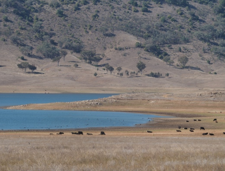 BOM_au's tweet photo. Special #Climate Statement issued: #Drought conditions in eastern Australia, and impact on water resources in the #MurrayDarlingBasin https://t.co/dt9h3dkoDE https://t.co/Tj92bFlw5S