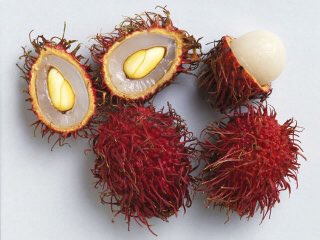 Green Pepper على تويتر ランブータン Rambutan と言う果実を知った 東南アジアやハワイなどで栽植されてるらしい マレー語でrambutは毛を意味し それに接尾辞 An もの が付いて 毛の生えたもの という意味だそう 見かけはアレだけどライチー等と同じ仲間 Green Pepper على تويتر ランブータン Rambutan と言う果実を知った 東南アジアやハワイなどで栽植されてるらしい マレー語でrambutは毛を意味し それに接尾辞 An もの が付いて 毛の生えたもの という意味だそう 見かけはアレだけどライチー等と同じ仲間