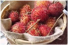 Green Pepper ランブータン Rambutan と言う果実を知った 東南アジアやハワイなどで栽植されてる らしい マレー語でrambutは毛を意味し それに接尾辞 An もの が付いて 毛の生えたもの という意味だそう 見かけはアレだけどライチー等と同じ仲間