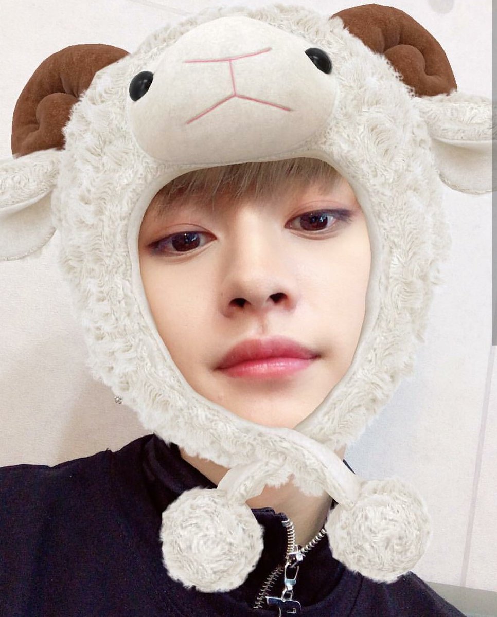 STRAYKlD8's tweet photo. thank you lee know for the weird but very cute wallpaper worthy pics https://t.co/HBmDOcXVbr