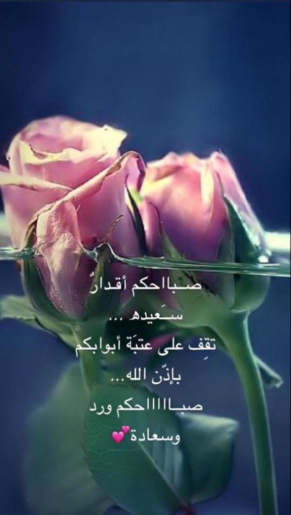 شجون حالمة (@awesom2050) on Twitter photo 