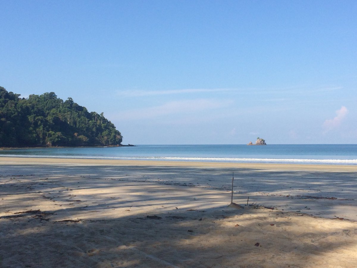 notsadlerswells's tweet image. Taking time off from #ModPo and #FutureLearn stuff and chilling …