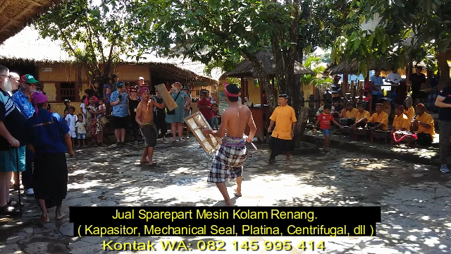 amed_pool's tweet photo. Atraksi Peresean di Desa Sade Lombok https://t.co/8A2pmIuukh