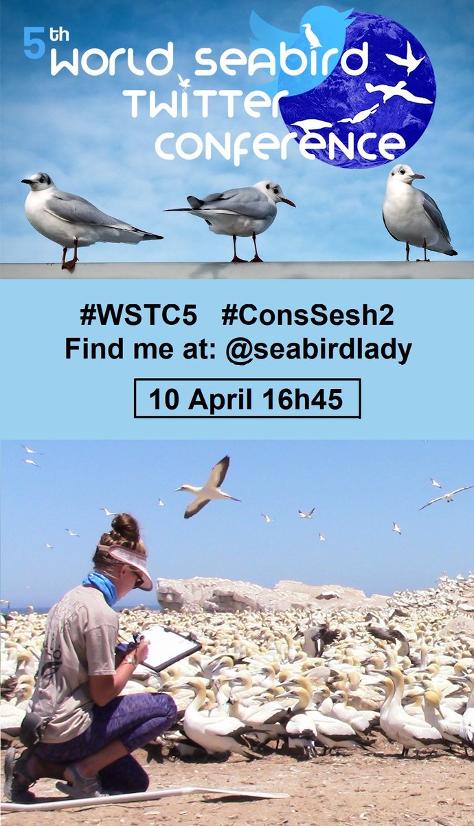 Very excited for my #WSTC5 #ConsSesh2 tomorrow where I will be presenting some of my MSc results on Cape #gannets, an #endangeredspecies and #endemic  species

#ornithology #seabirds #avian #reseach #msc #study