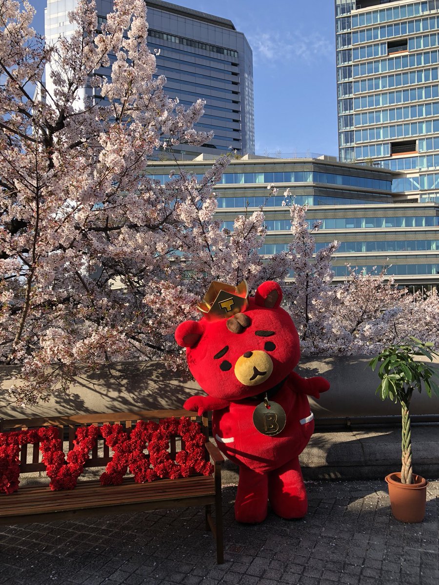 max beer☆ tweet media