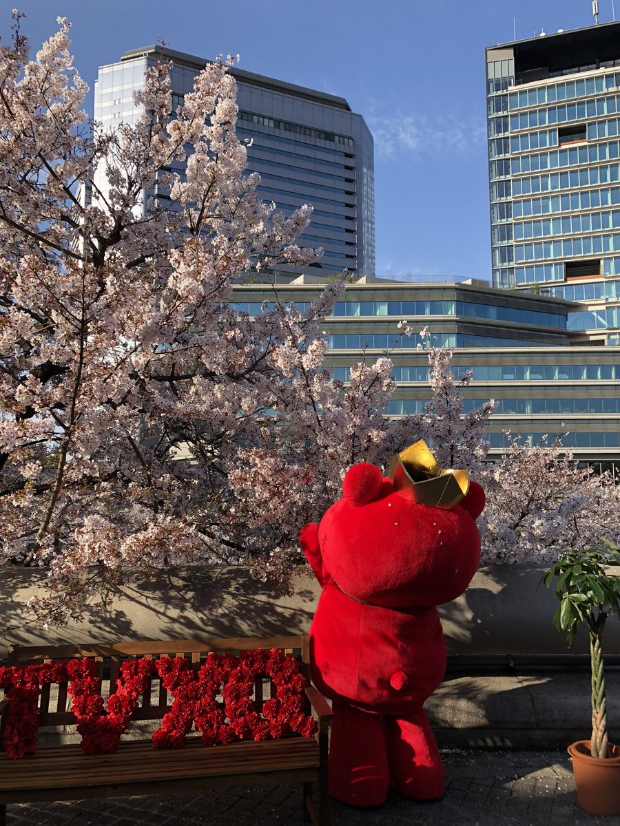 max beer☆ tweet media