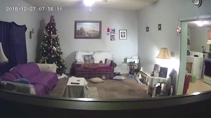 JenniferRobeso7's tweet image. I can't wait tell Christmas again.Maybe this Christmas I'll be able too get Mike so much more.The last 3 year's was bad but God is still awesome and taught me a lot about life and how people can be too there own people .My boys are everything