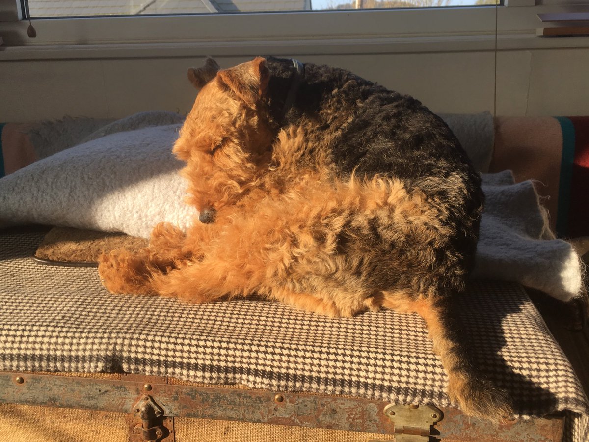 ThomasWelshie's tweet photo. Good morning all. Awkward sun puddling ahoy..... https://t.co/Xx6QDWNayB