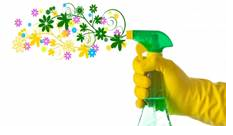 Lundi 29 Avril de 14h à 17h Forum Emploi secteur de la #Propreté à l’agence Cap Pinède. 15 entreprises présentes. 👉Pour plus d’informations rapprochez-vous de l'équipe entreprise de Cap Pinède. #recrutement #Emploisfrancs @pole_emploi