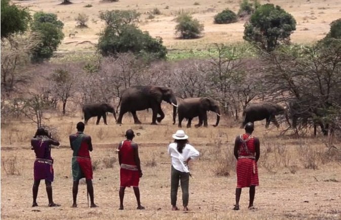 BrightwaysT's tweet photo. #Easter #TembeaKenya #MagicalKenya #TravelTuesday  #MasaiMara3 Days 2 Nights Masai Mara Join in Safari at KSH 23,000 / USD 290 Per person for 12 Apr - 14 Apr 2019 including transport, accommodation &amp; Game drives

To Book Call/Whatsapp +254729260895 https://t.co/RdhzT7TUGk