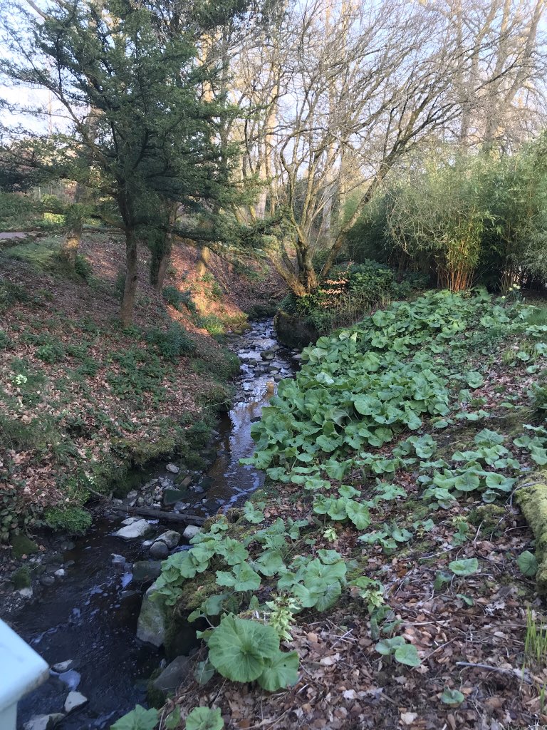 ComeSeeScotland's tweet photo. Early morning stroll around the beautiful gardens @Dumfries_House before breakfast @DhLodge22. The US agents are in love with everything about this beautiful estate. #famtrip #visitscotexpo #seesouthscotland #ayrshire #qualifiedtourguide #lovemyjob https://t.co/cp8qys6ybq