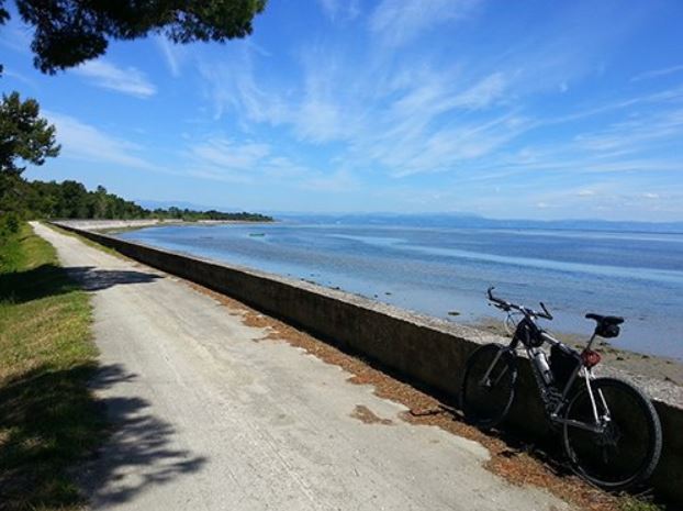 🚴‍♀️Tutti pronti a pedalare sulla <a href="/CicloAlpeAdria/">Ciclovia Alpe Adria</a>? Scopri le novità‼️ 👀

Grazie all’accordo con Trenitalia, dal 20/04 trasporterete le bici a bordo dei treni regionali gratis per i possessori di FVG card! 🤩

Inoltre il bici bus🚌Udine-Grado è già attivo ➡️ bit.ly/BiciBusSaf_ora…