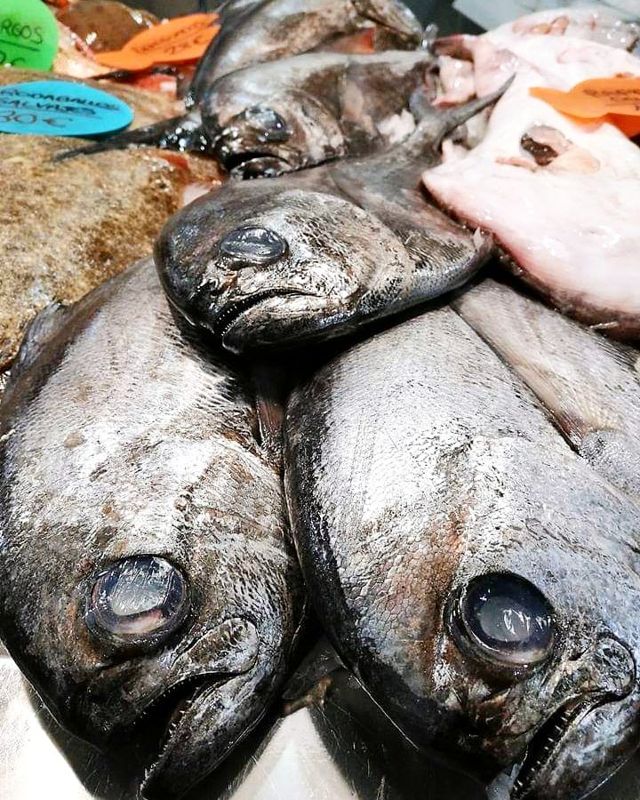 ¡Buenos días! En kibus.online ya tenemos todo el pescado listo para llevártelo a casa. Hoy en Pescados Rosa y Chelito 👉bit.ly/2IlVNoc👈 tenemos una preciosa castañeta de kilo y medio a 8.50 el kilo ¿Te la vamos preparando? 

#realfood #realfooding #realfood
