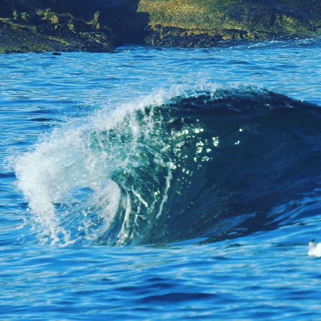 WestCoastLocal's tweet photo. The arrival of a fresh 20s period, solid #swell #surfisup #surf #surfcapetown #surfsouthafrica #wave #ocean #tube #greenroom https://t.co/wOJG6i0DOs https://t.co/lkLtSK9Ses