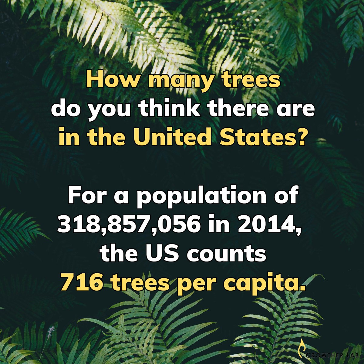 CrowtherLab's tweet photo. Ever wondered how many trees there are in the US? #howmanytrees https://t.co/6bHfPUvMEi
